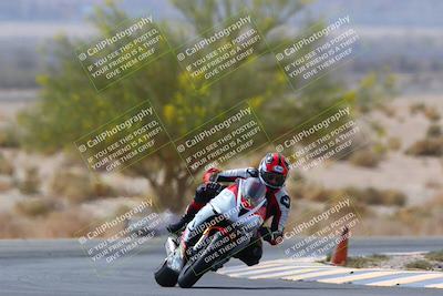 media/Apr-10-2022-SoCal Trackdays (Sun) [[f104b12566]]/Turn 5 Tree of Life (1040am)/